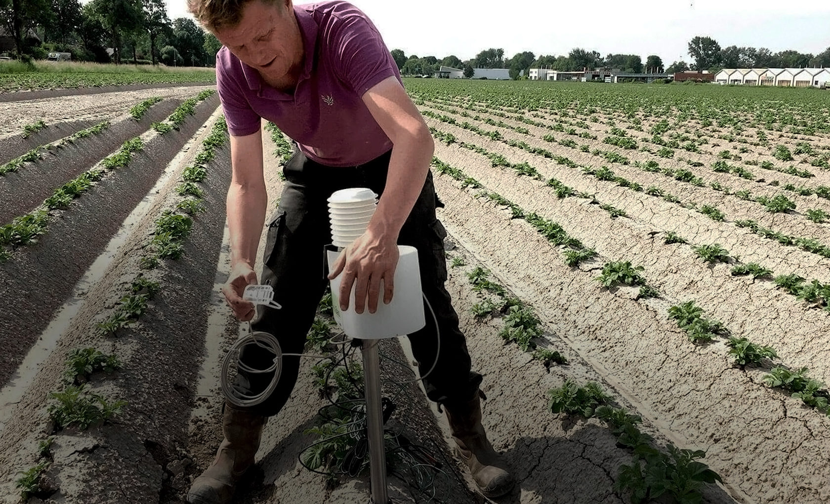 Rural Fieldlabs: precisielandbouw