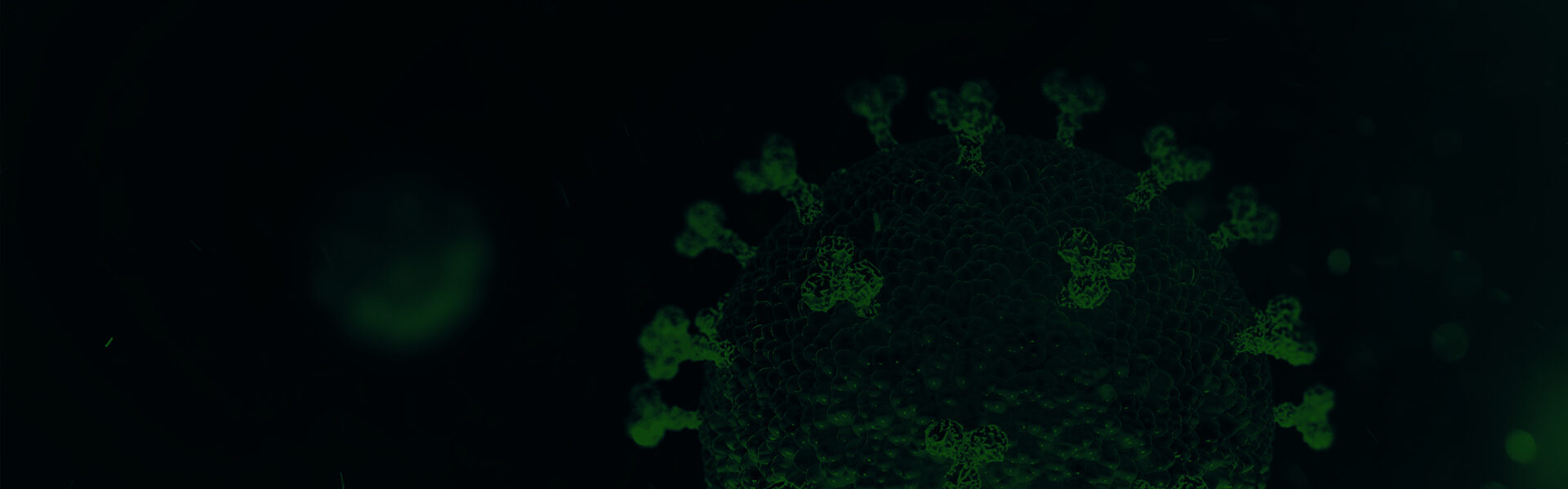 Highlight test