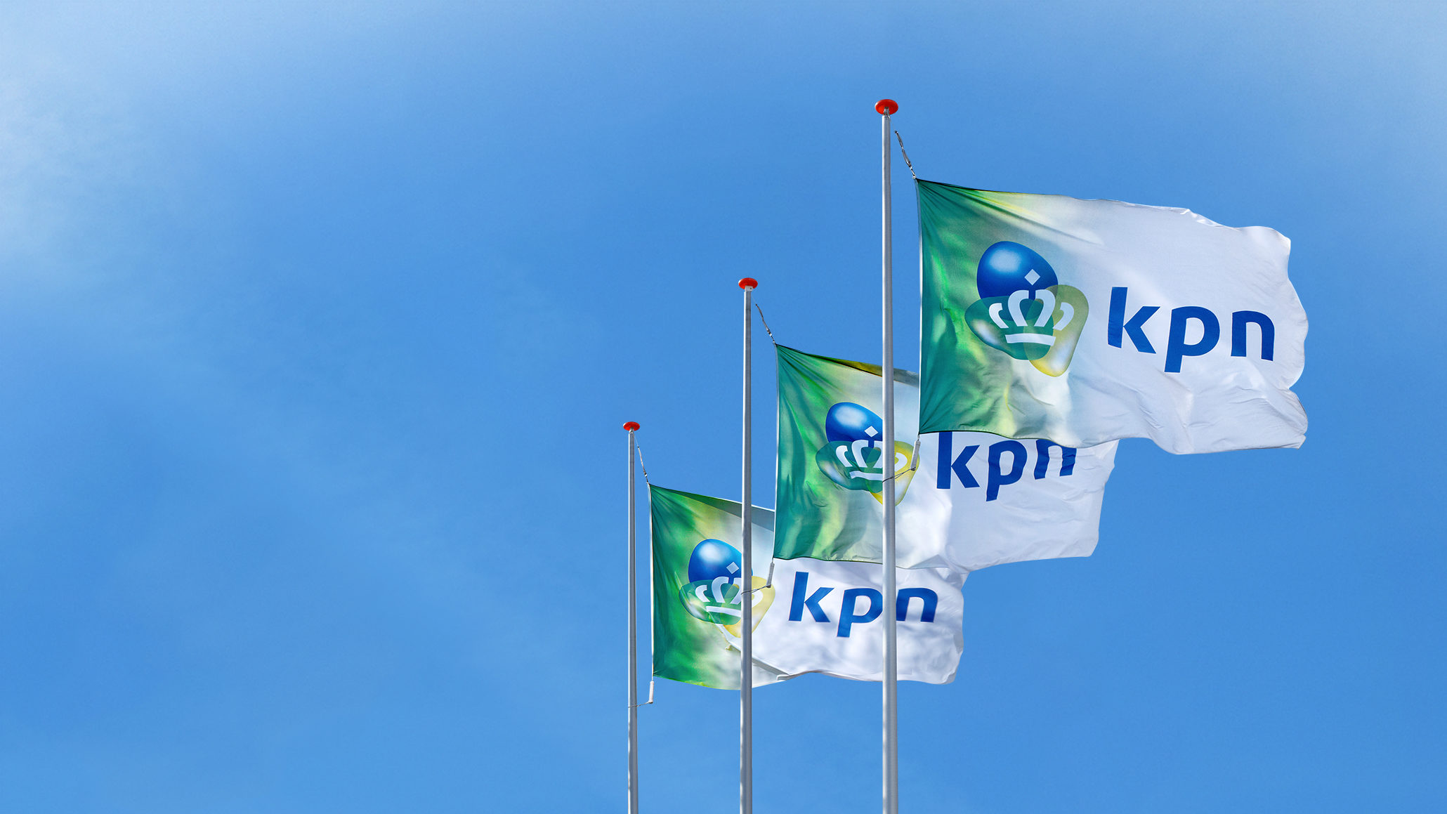Het bedrijf