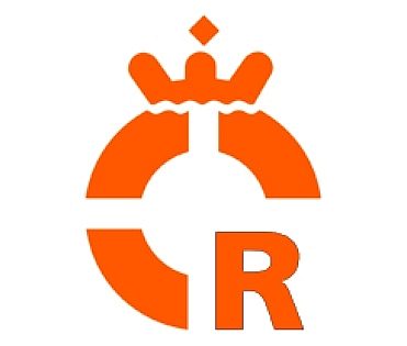 Lifesaving logo